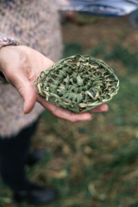 Image of woven basket
