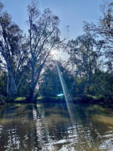 Image of Nagambie lake
