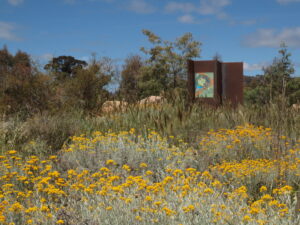 vibrant grasslands at the arb