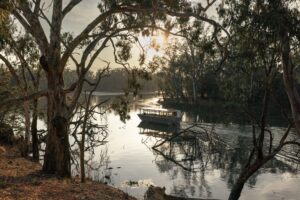 Tahbilk wetlands