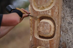 Image of We Scar Many Trees - carving a tree