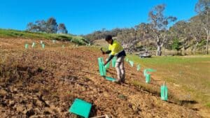 BIIK environmental workers