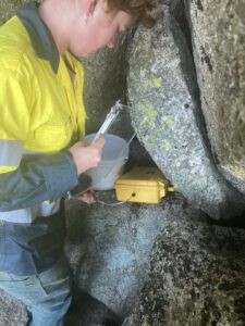 setting up a bogong moth trap