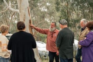 Group enjoying a scar tree talk