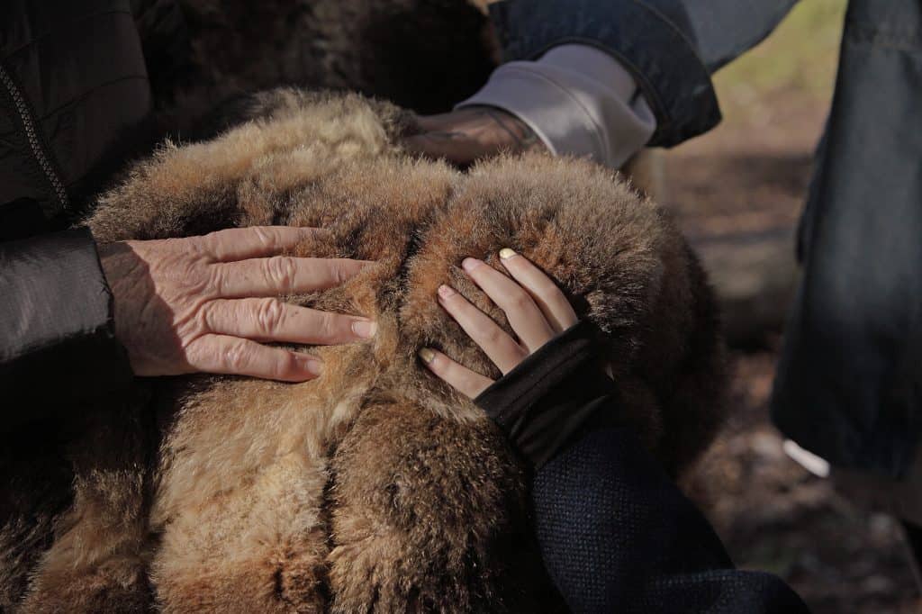 wawa_tahbilk_july2025_022_web