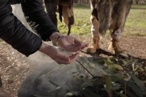 Close-up of hands warming over a small campfire in a metal pit, with leaves nearby and people in boots in the background outdoors.