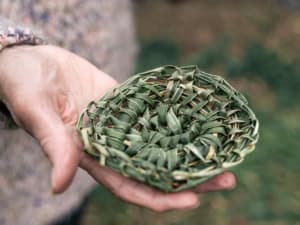 Close-up of hands holding a small woven basket made from green leaves (palm leaf).